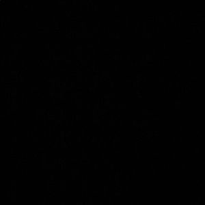 Meet your Posher, Ximena